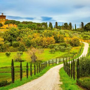 イタリア語強化コース　中上級B2レベル　「Nuovo Progetto Italiano 2」教科書