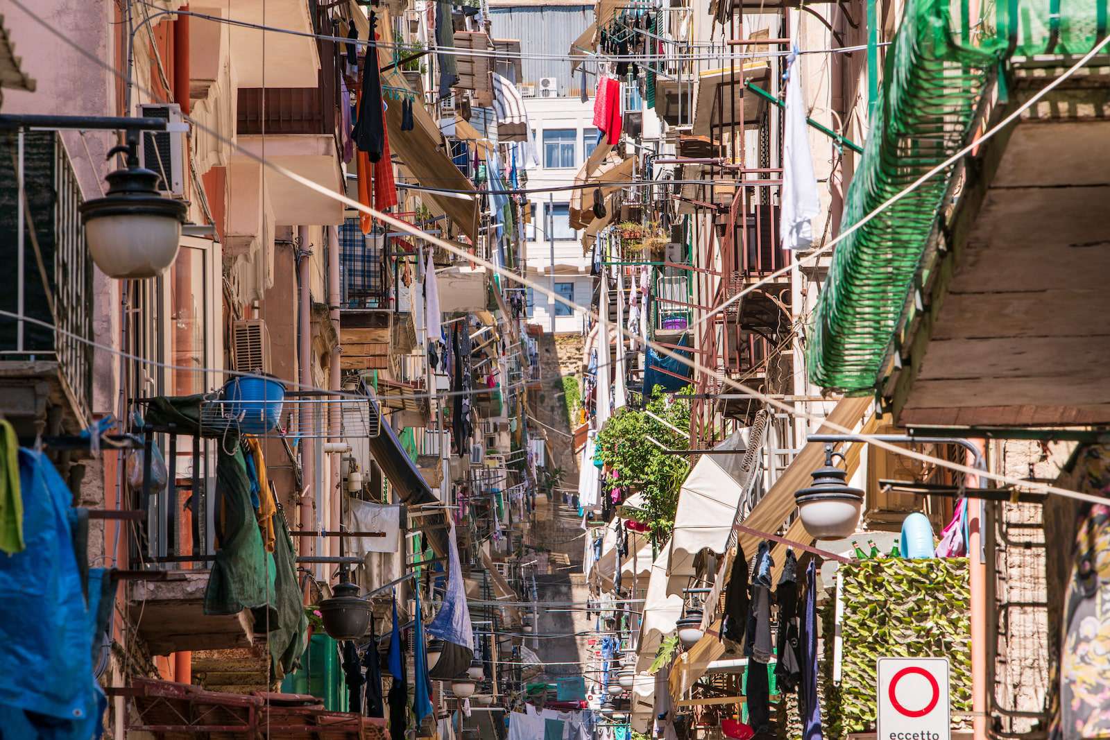 shutterstock_1318120229-min[1]