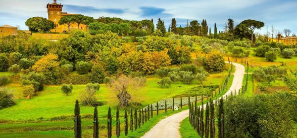 イタリア語強化コース　中上級B2レベル　「Nuovo Progetto Italiano 2」教科書